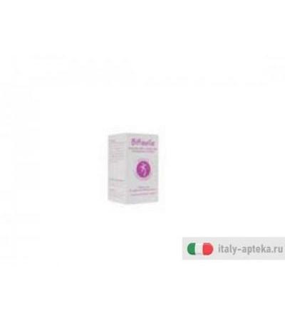 bifiselle descrizione