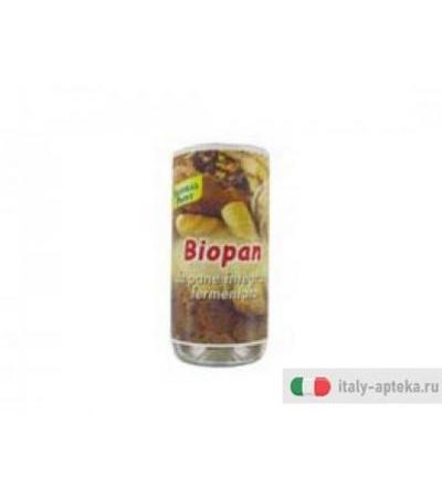 biopan cereali fermentati prodotto in polvere ottenuto dal processo di fermentazione acido-lattica di pane