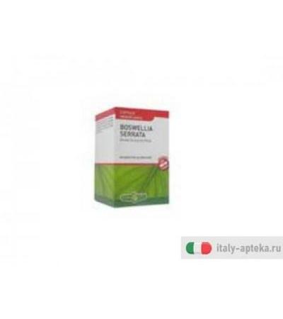 boswellia serrata capsule