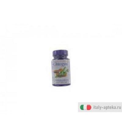 chitogym può risultare utile nel favorire la modulazione del metabolismo dei grassi