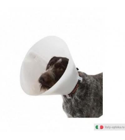 collare elisabetta collari trasparenti e con un semplice sistema di chiusura a click.