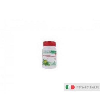cotidierbe 100 complemento alimentare a base di erbe officinali utili per favorire il transito