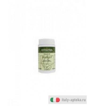 dab 001 - isabgol polvere regular