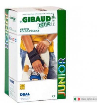 dr. gibaud