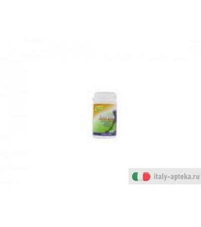 enzylife integratore alimentare a base di maltodestrine fermentate, che apportano enzimi