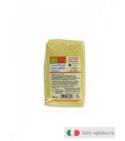 farina di mais per polenta istantanea