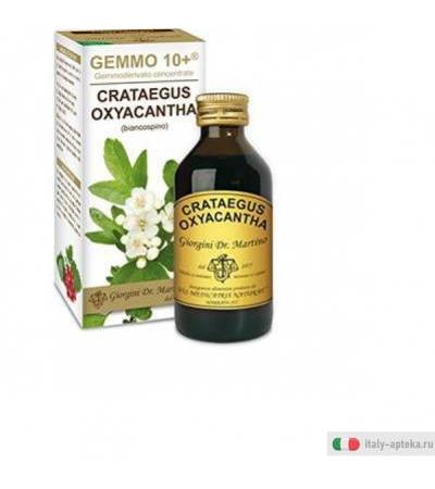 gemmo 10+ gemmoderivato concentrato