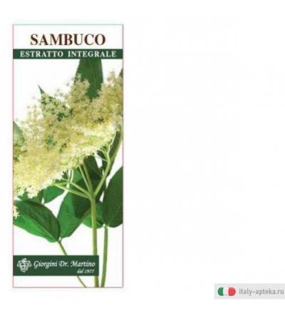 giorgini dr. martino