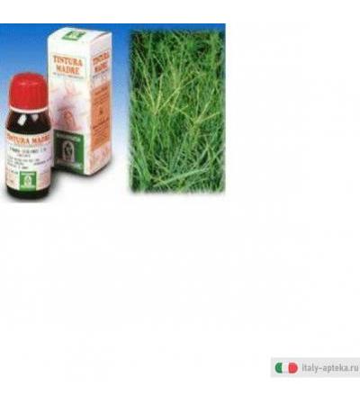 gramigna tintura madre