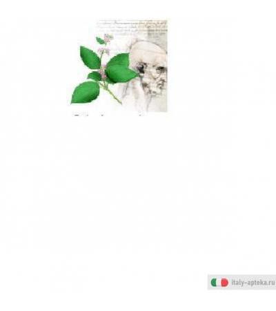 gymneplus 30 integratore alimentare in capsule vegetali. la neopuntia agisce sull&rsquo;equilibrio del