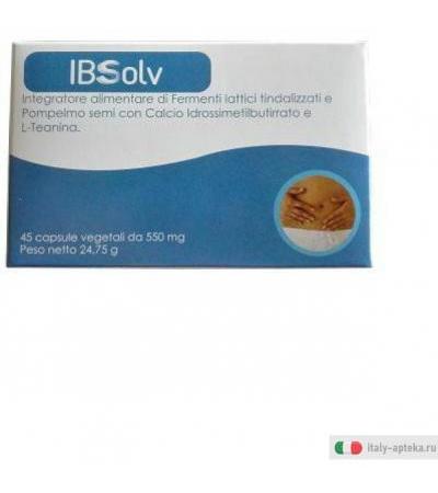 ibsolv descrizione