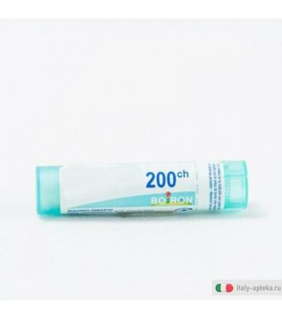 ignatia amara 200ch gr