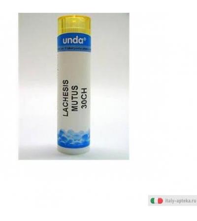 lachesis mutus 30ch gr
