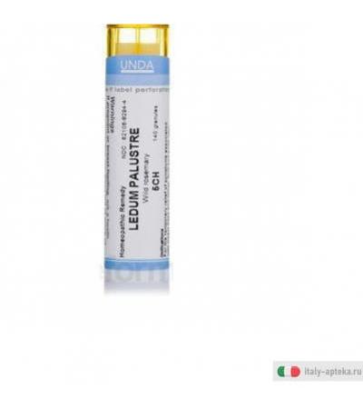 ledum palustre 5ch gr