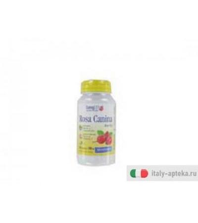 longlife rosa canina
