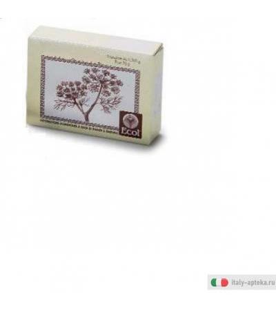 mirtillo tavolette utili in caso di diarrea, dispepsia cronica fermentativa, dispepsia del