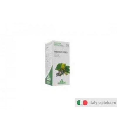 mirtillo tintura madre