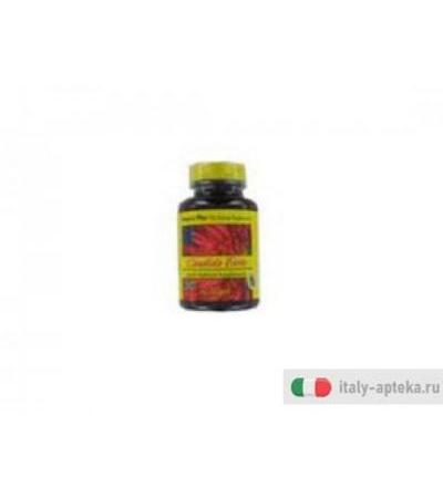 nature's plus candida forte