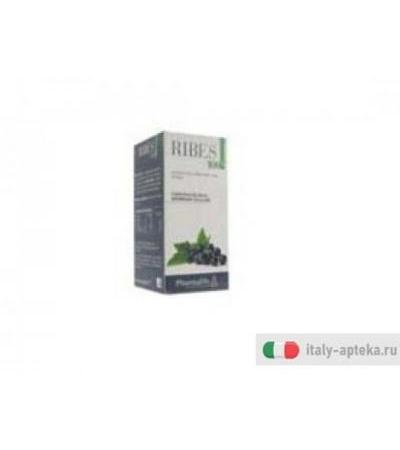 olio ribes 100% 50 millilitri