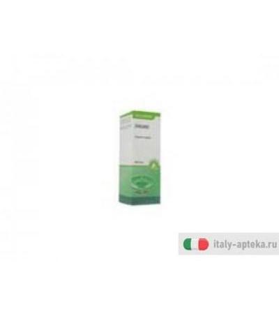 origano olii essenziali