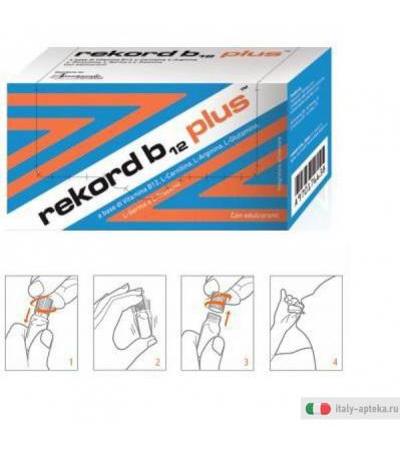 rekord b 12 plus
