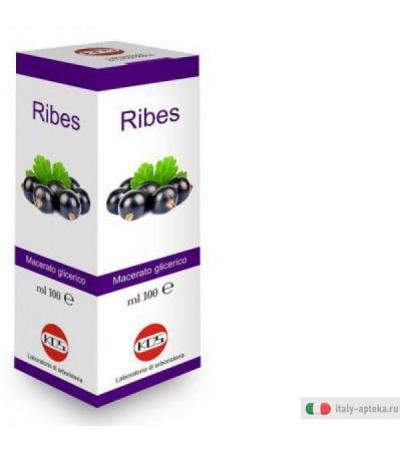 ribes