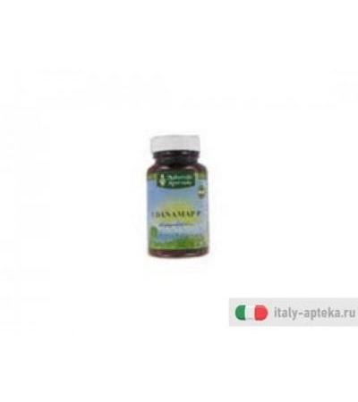 udanamap p integratore alimentare a base di piante che, secondo la tradizione ayurvedica, è