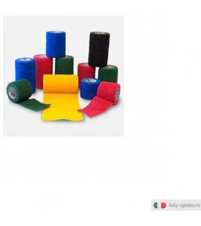 vetrap fascia elastica