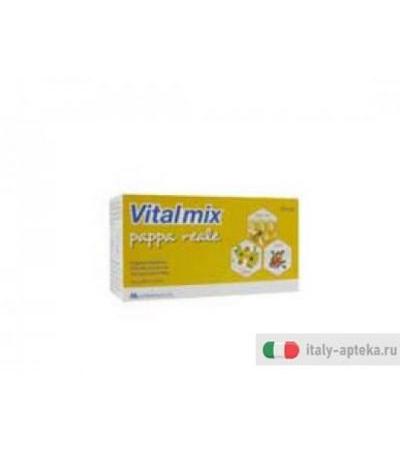 vitalmix pappa reale