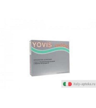 yovis viaggio descrizione