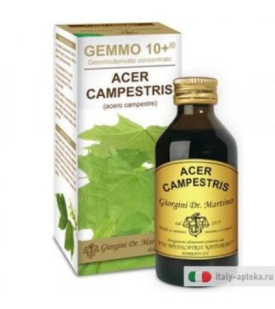Acero Camp 100ml Analco Gem10+