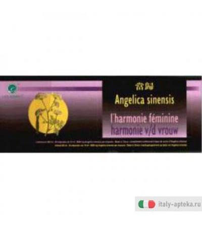 Angelica Sinensis 30f 10ml