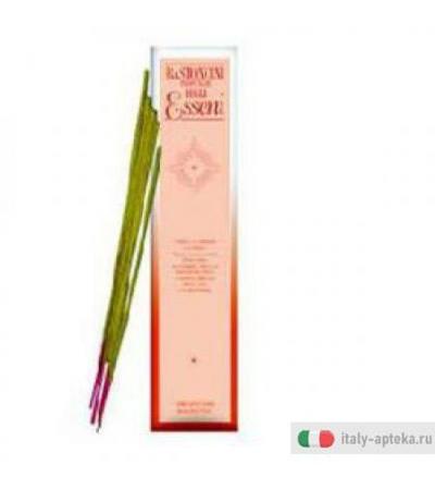 Bastoncino Prof Esseni 8pz 14g