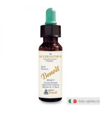 Benoit Fiori di Bach Sclerantu