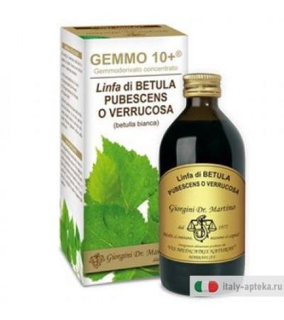 Betulla B Linfa An Gemm10+ 200