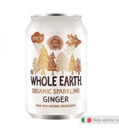 Bio Ginger S/zucchero 330ml
