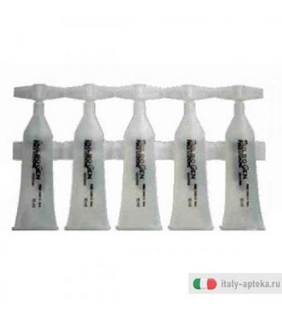 Bulbogen Fiale 100ml+sh 250ml