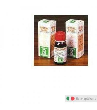 Castano India 52 50ml Tm