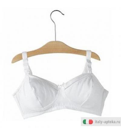 Ch Md Reg Allat Coton Bia 3d