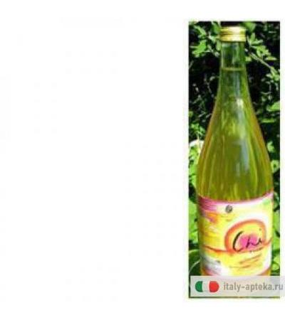 Chi Fermentato Frut 1000ml