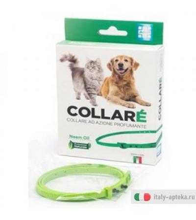 Collare' Cani/gatti Verde Neem