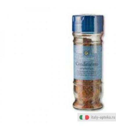 Condimento Ayurvedico 18g