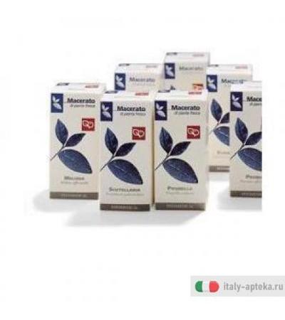 Echinacea 200ml 50 Tm