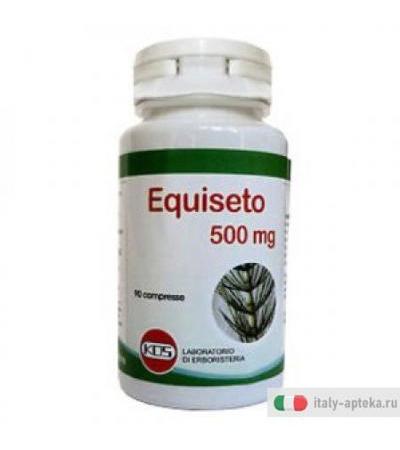 Equiseto 90cpr 500mg