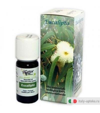 Eucalipto Bio