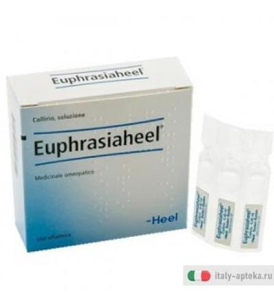 Euphrasia Coll 15f Heel