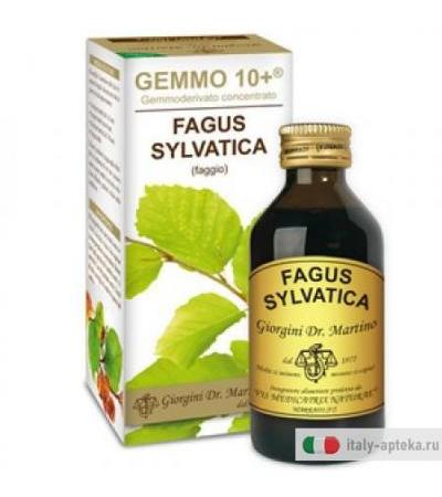 Faggio 100ml Analco Gemmo 10+