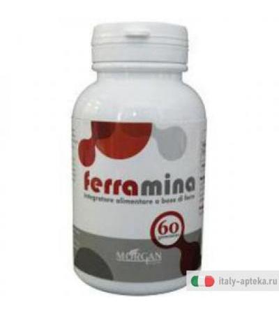 Ferramina Ferro/vit C 60car Go