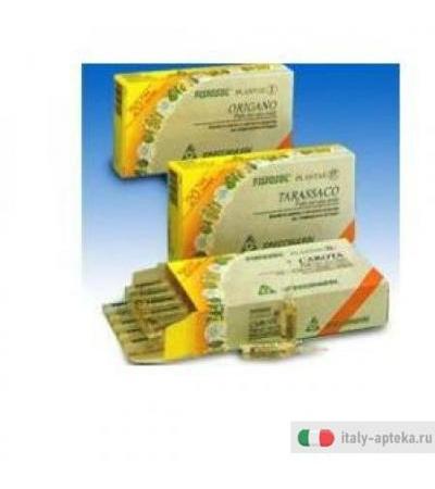 Fisiosol Pl Salvia 20f