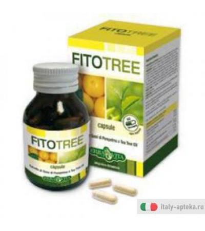 Fitotree 60cps